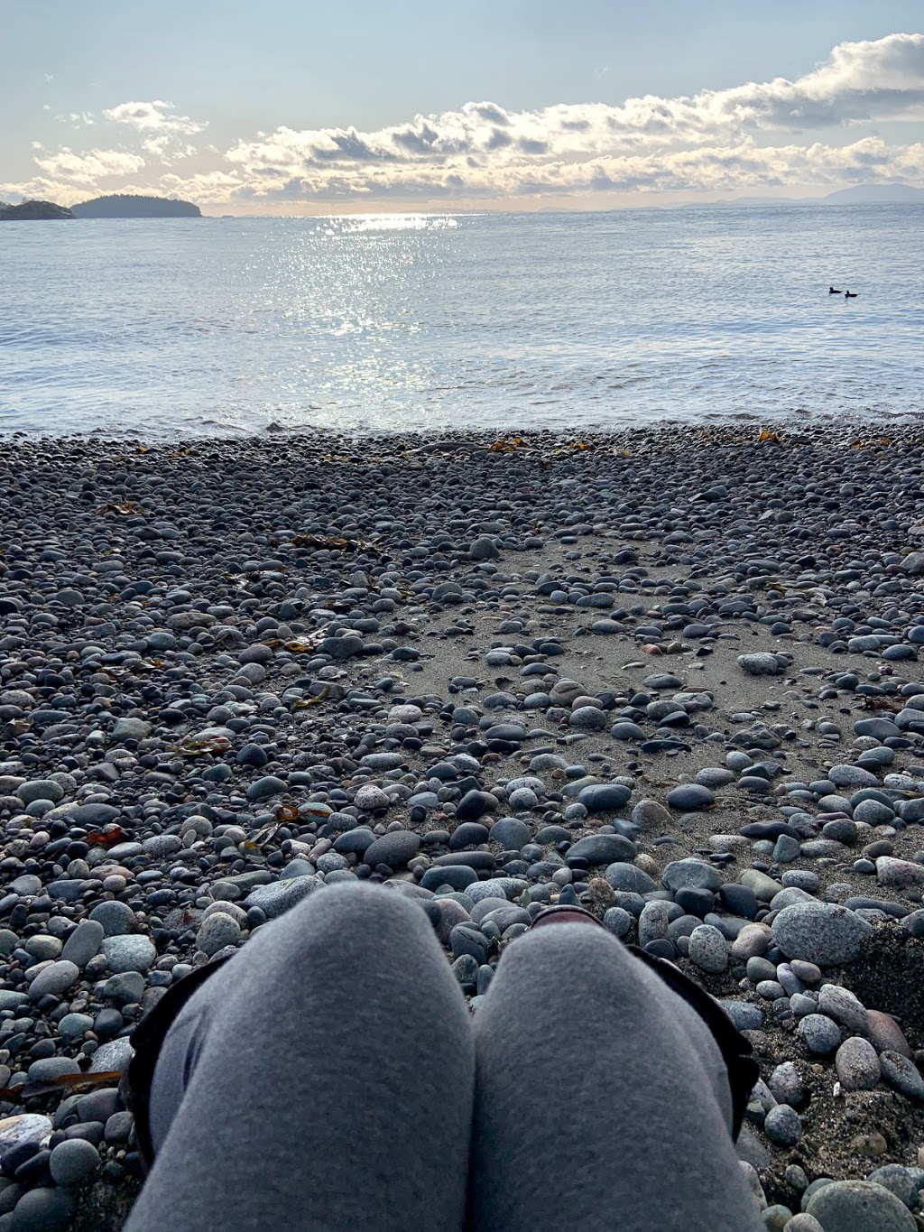 Spirit Song Reiki | 1267 Carmen Rd, Gibsons, BC V0N 1V4, Canada | Phone: (250) 287-1766
