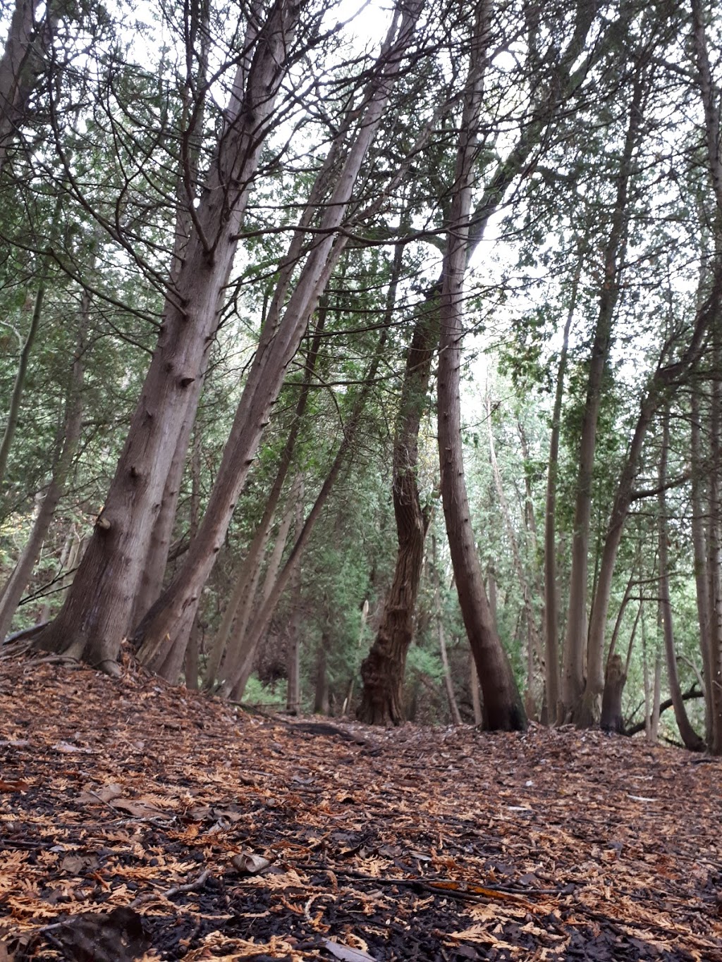 Bowmanville Valley Conservation Area | Hampton, ON L0B 1J0, Canada | Phone: (905) 623-3379