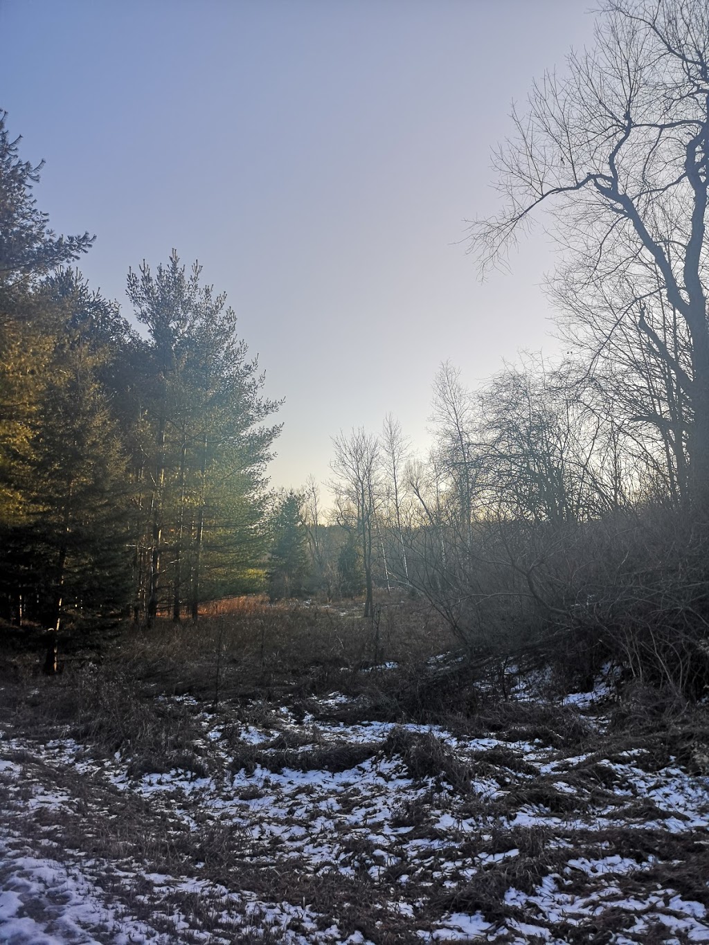 Fprest | 1A6, William Granger Greenway, Woodbridge, ON L4L 1A6, Canada