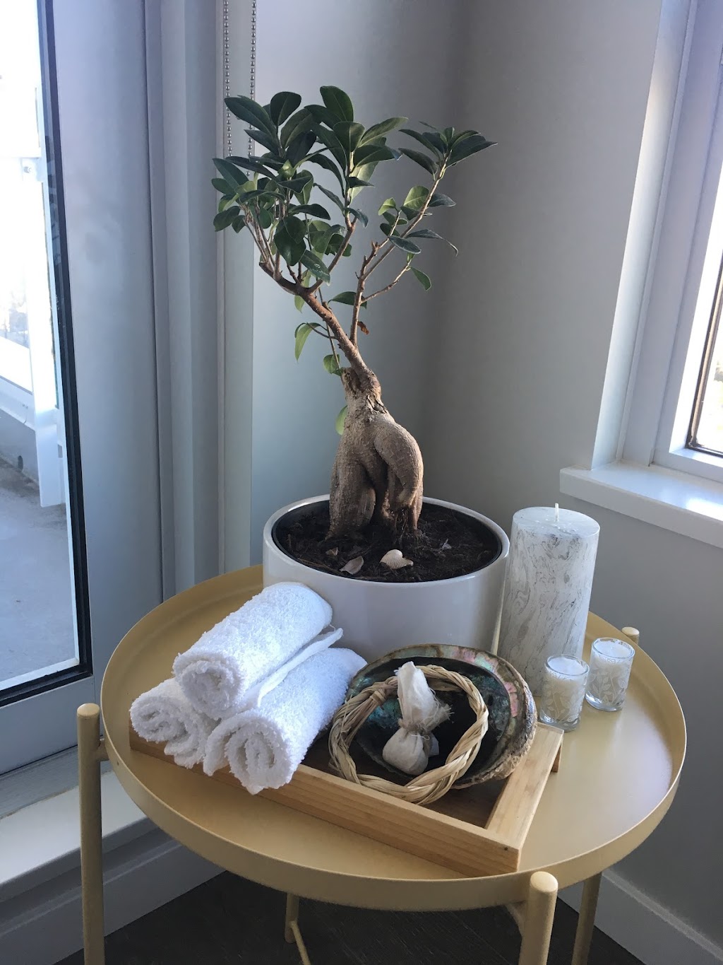 Therese Anderson Consulting & Natural Health | 806 Osborne St, Winnipeg, MB R3L 2C7, Canada | Phone: (204) 880-5741