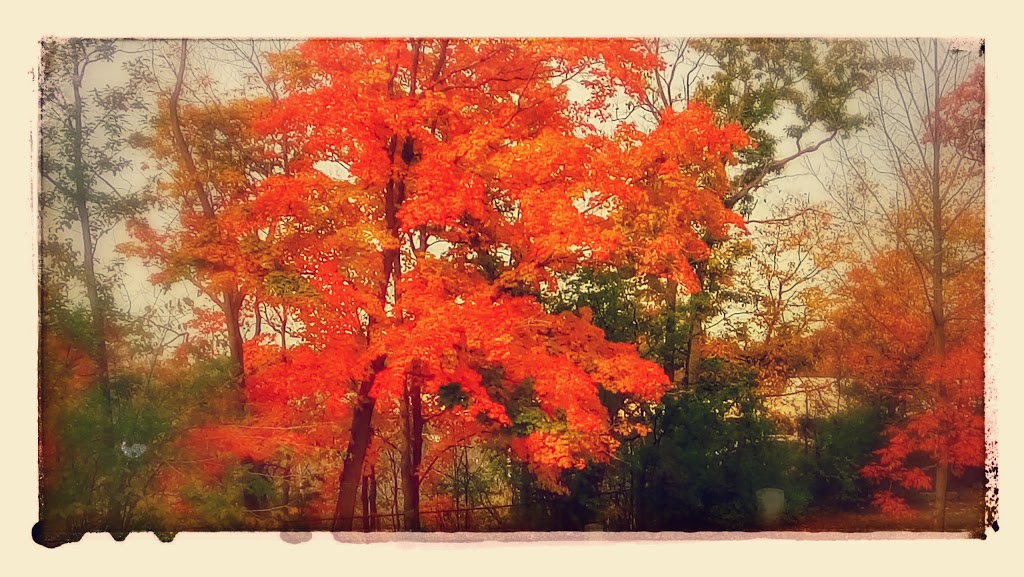 Oakville/St. Marys Pioneer Cemetery | 1020 Sixth Line, Oakville, ON L6H 1W5, Canada