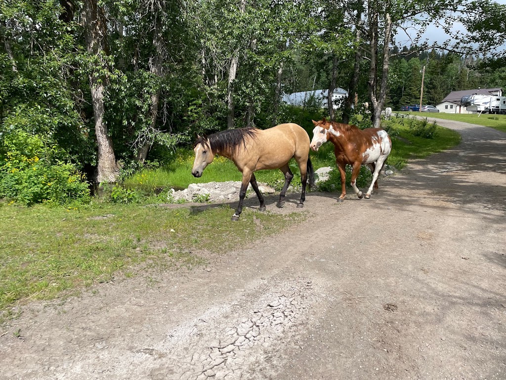 Noble Ranch Bed and Breakfast | 6032 RRD2-2A, Pincher Creek, AB T0K 1W0, Canada | Phone: (403) 627-8117