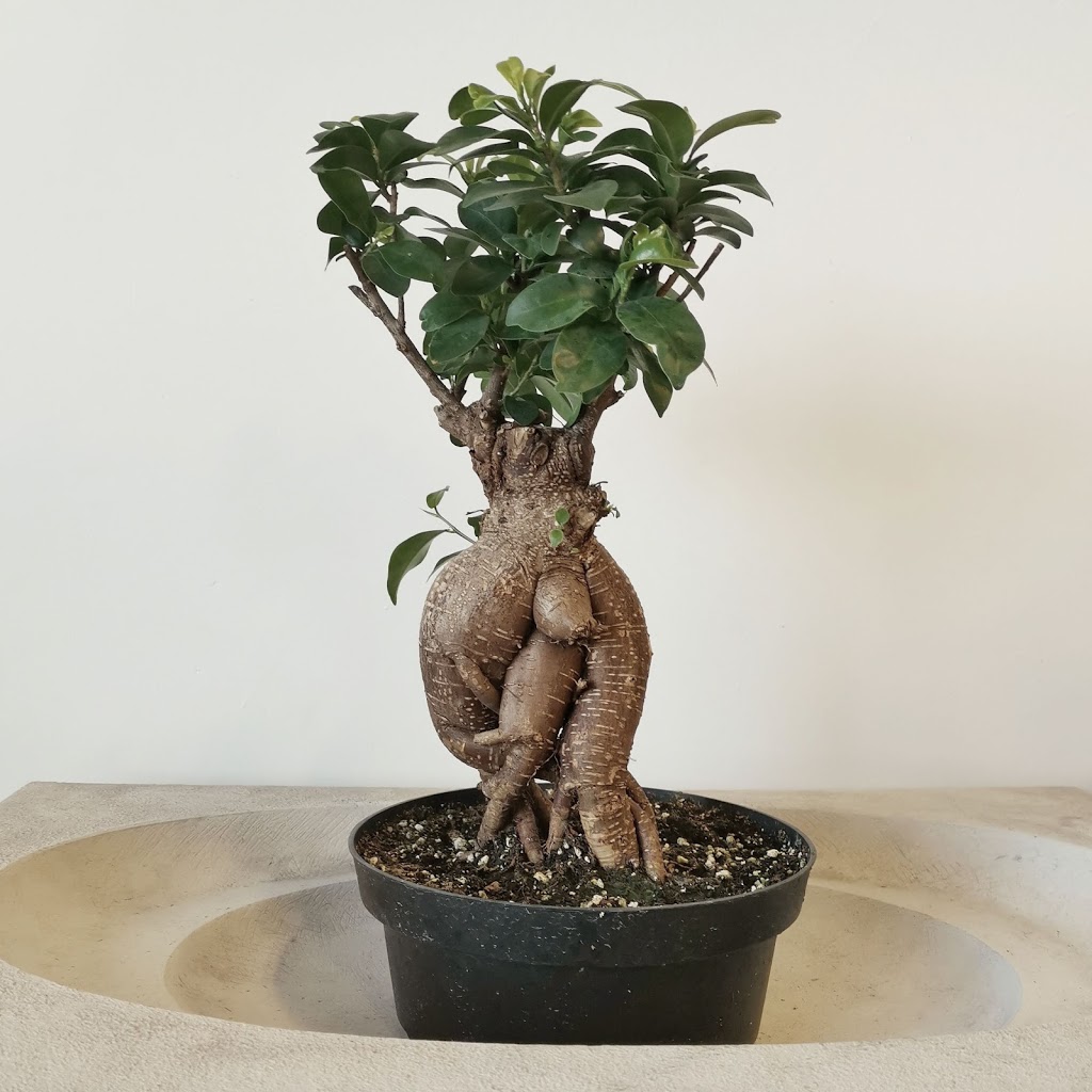 Beech Nursery InHouse | 6 Carlaw Ave #103, Toronto, ON M4M 2R5, Canada | Phone: (416) 461-1461