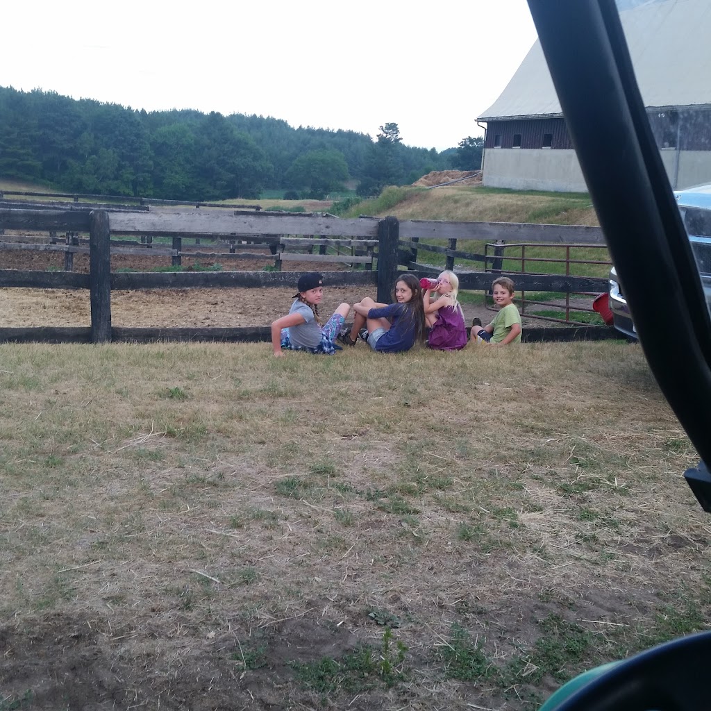 Kendal Hills Equine | 9661 Trew Rd, Campbellcroft, ON L0A 1B0, Canada | Phone: (905) 797-2124