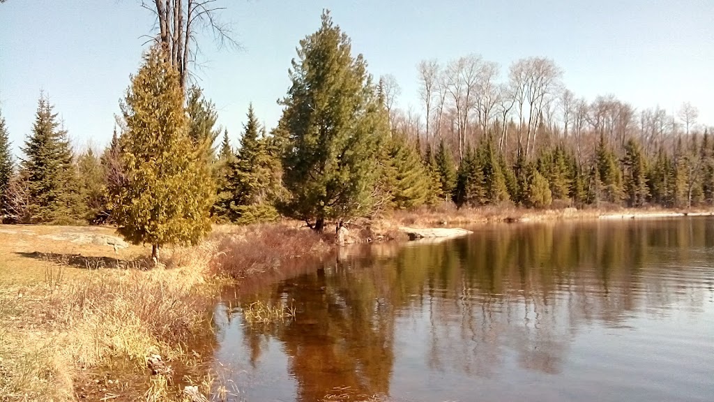 Imagine Wood | 37946-C Highway 62 North, Combermere, ON K0J 1L0, Canada | Phone: (613) 756-9759