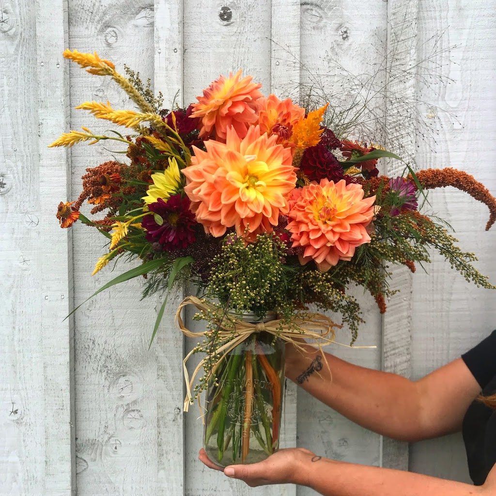 Two Birds One Stone Farm (Flower Farm) | 3442 NS-359, Centreville, NS B0P 1J0, Canada | Phone: (902) 385-8818