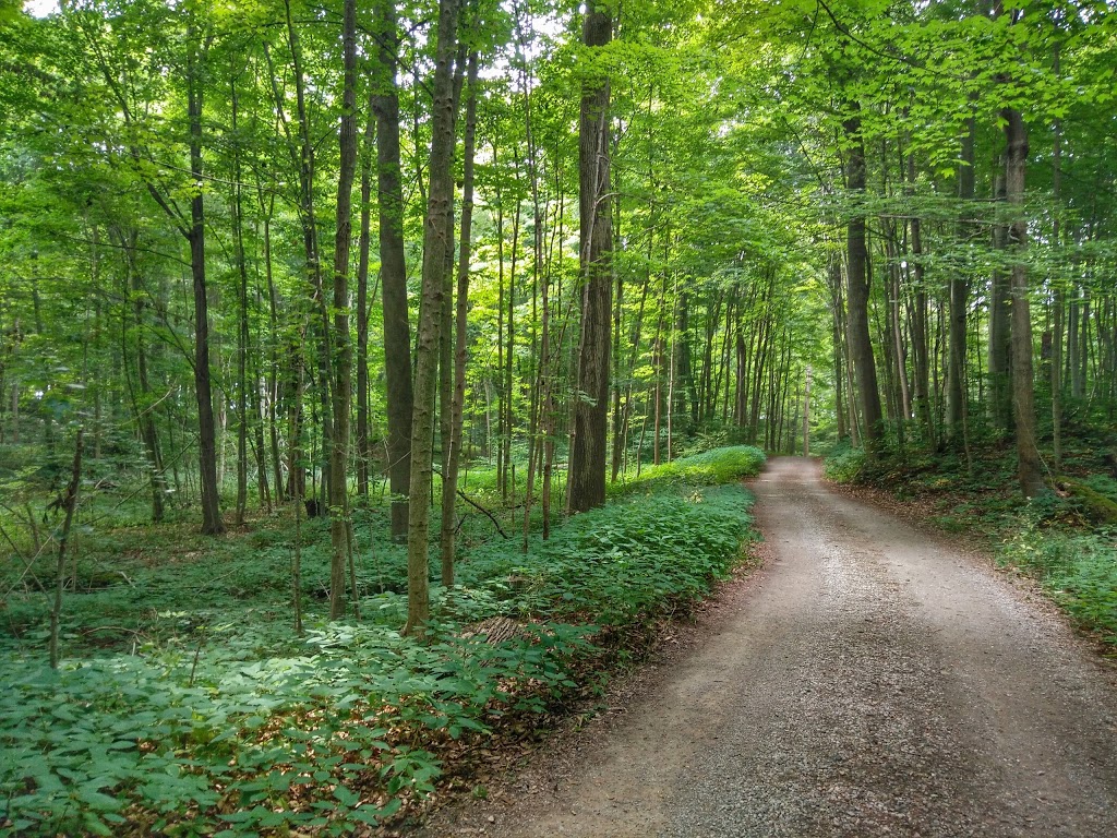 John E. Pearce Provincial Park | 29424 Lakeview Line, Wallacetown, ON N0L 2M0, Canada | Phone: (519) 874-4691