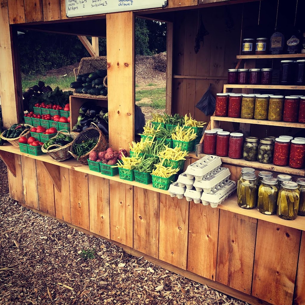 Riel Acres Farm | 2574 County Rd 20, Lakefield, ON K0L 2H0, Canada | Phone: (705) 977-7234