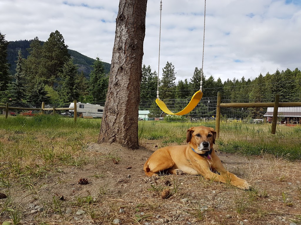 The Black Bear Den (Rental) | 2624 Coalmont Rd, Tulameen, BC V0X 2L0, Canada | Phone: (778) 558-5746