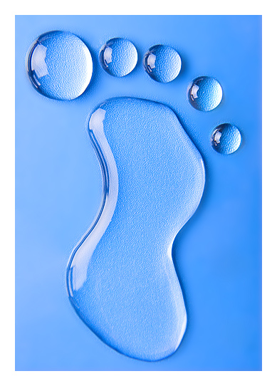 Vandermeulen Plumbing Ltd. | 505 Parkhill Rd W, Peterborough, ON K9H 3J4, Canada | Phone: (705) 742-3433