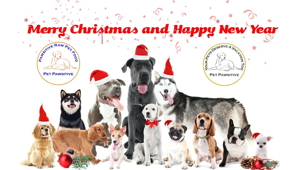 Pet Pawsitives Luxury Pet Resort Inc | 411C Dundas St E, Belleville, ON K8N 1E7, Canada | Phone: (613) 779-5900