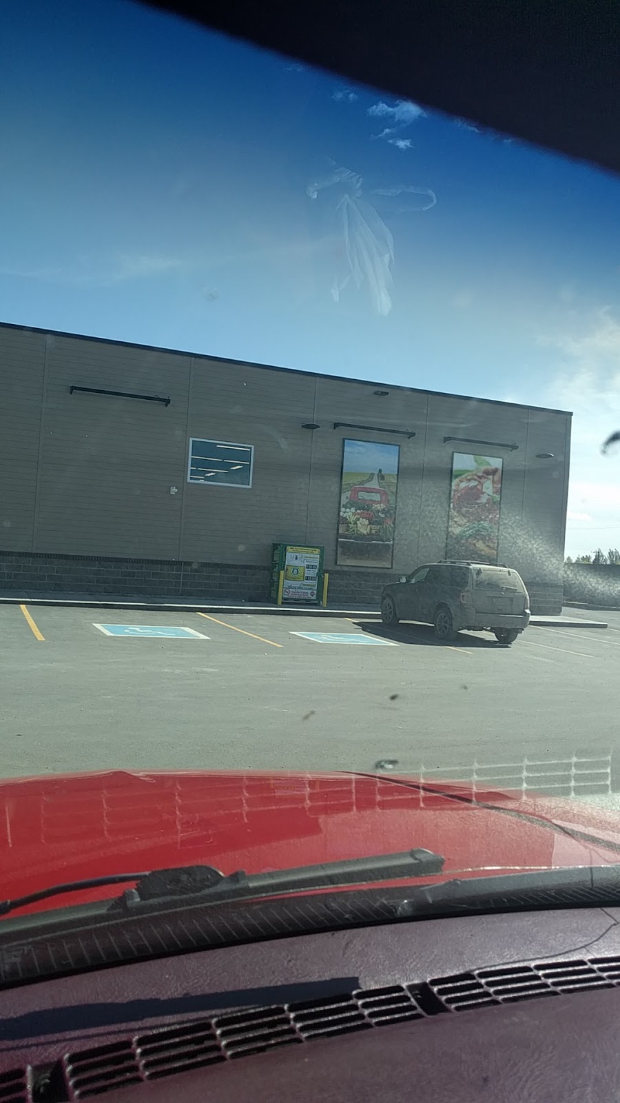 Co-op Cardlock | 500 Torran St, Colonsay, SK S0K 0Z0, Canada | Phone: (306) 376-2144