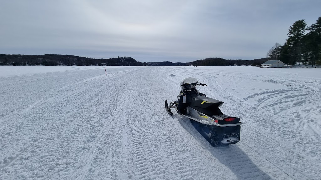 Muskoka Wild | Clearwater Lake Rd, Huntsville, ON P0B 1L0, Canada | Phone: (905) 379-5842