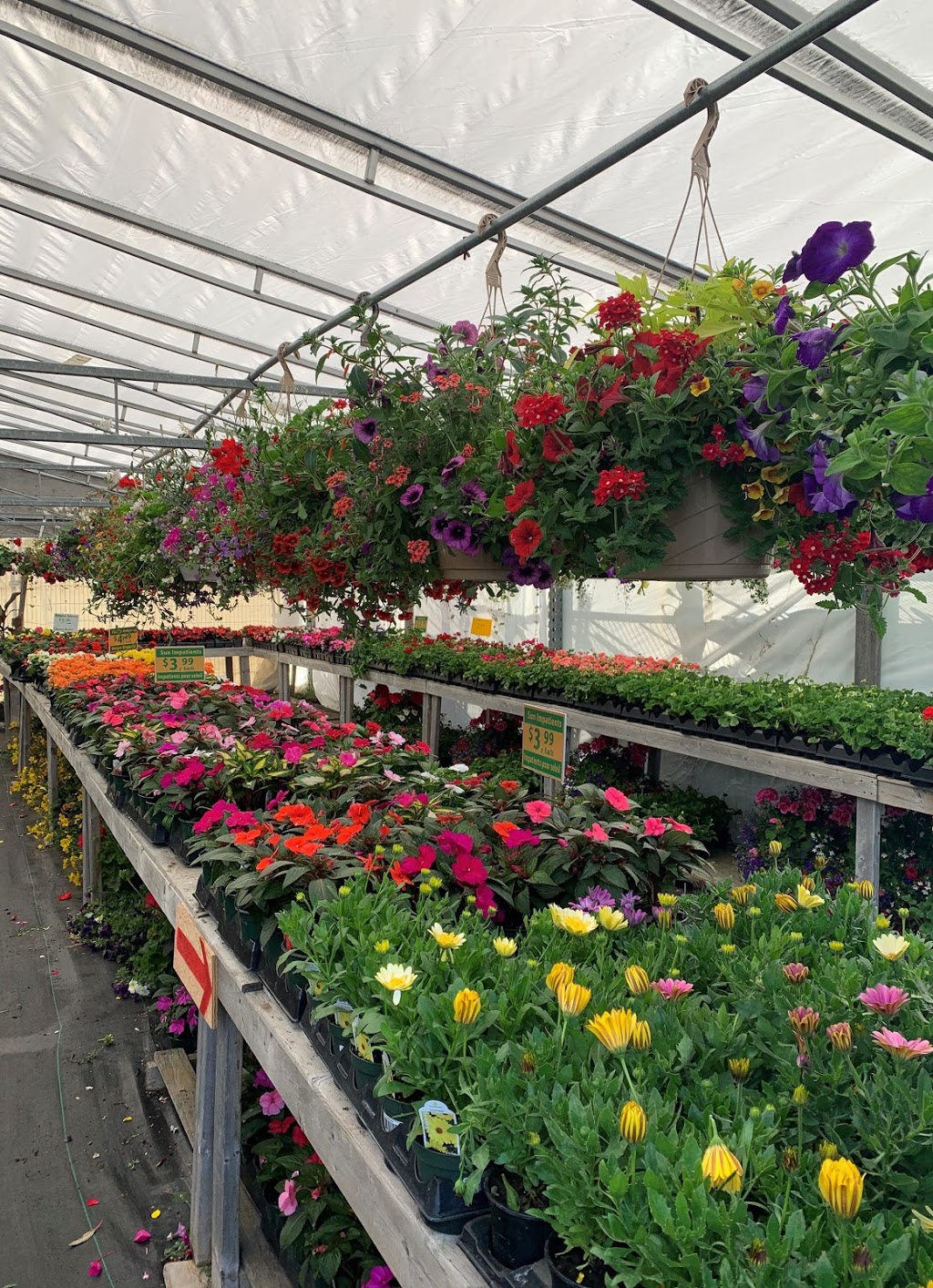 Denise & Sylvain Garden Centre | 767 Notre Dame St, Embrun, ON K0A 1W1, Canada | Phone: (613) 677-1052