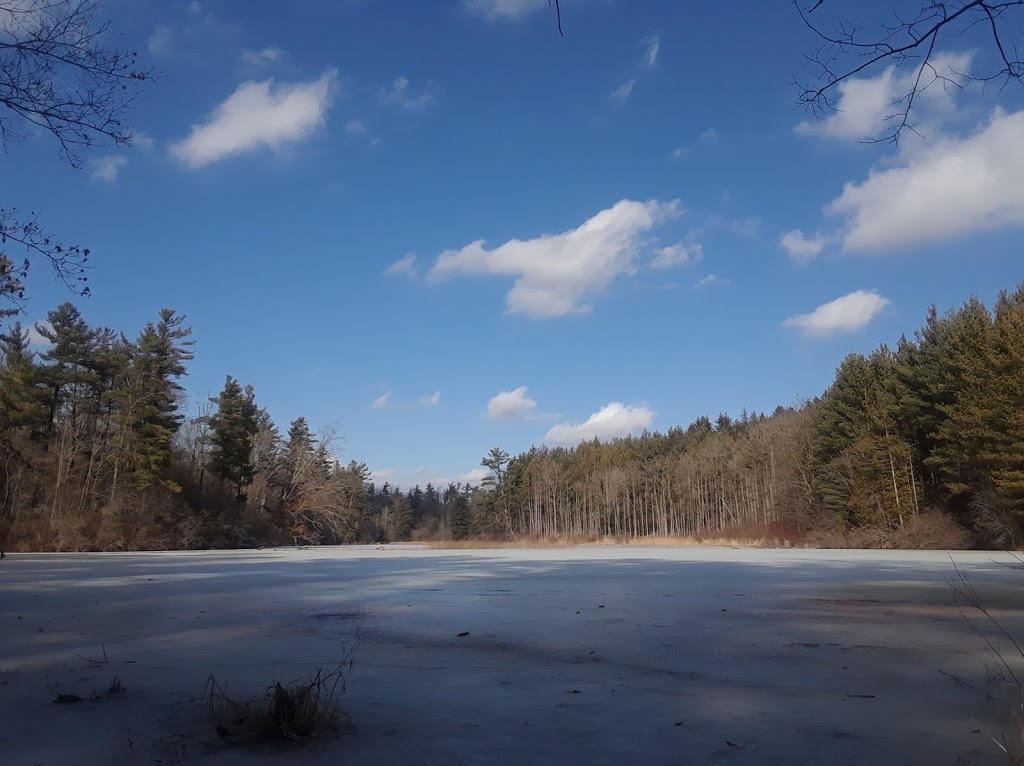 Drynan Regional Forest | 1226 Dumfries Rd, Ayr, ON N0B 1E0, Canada