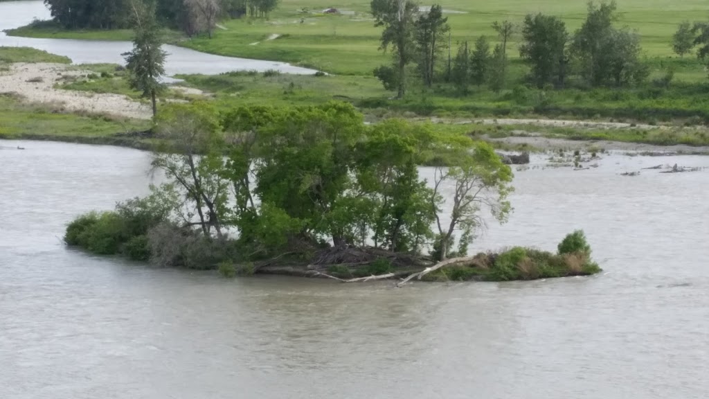 Bow river fishing spot | 32 Bow River Pathway, Calgary, AB T2Z 3R9, Canada