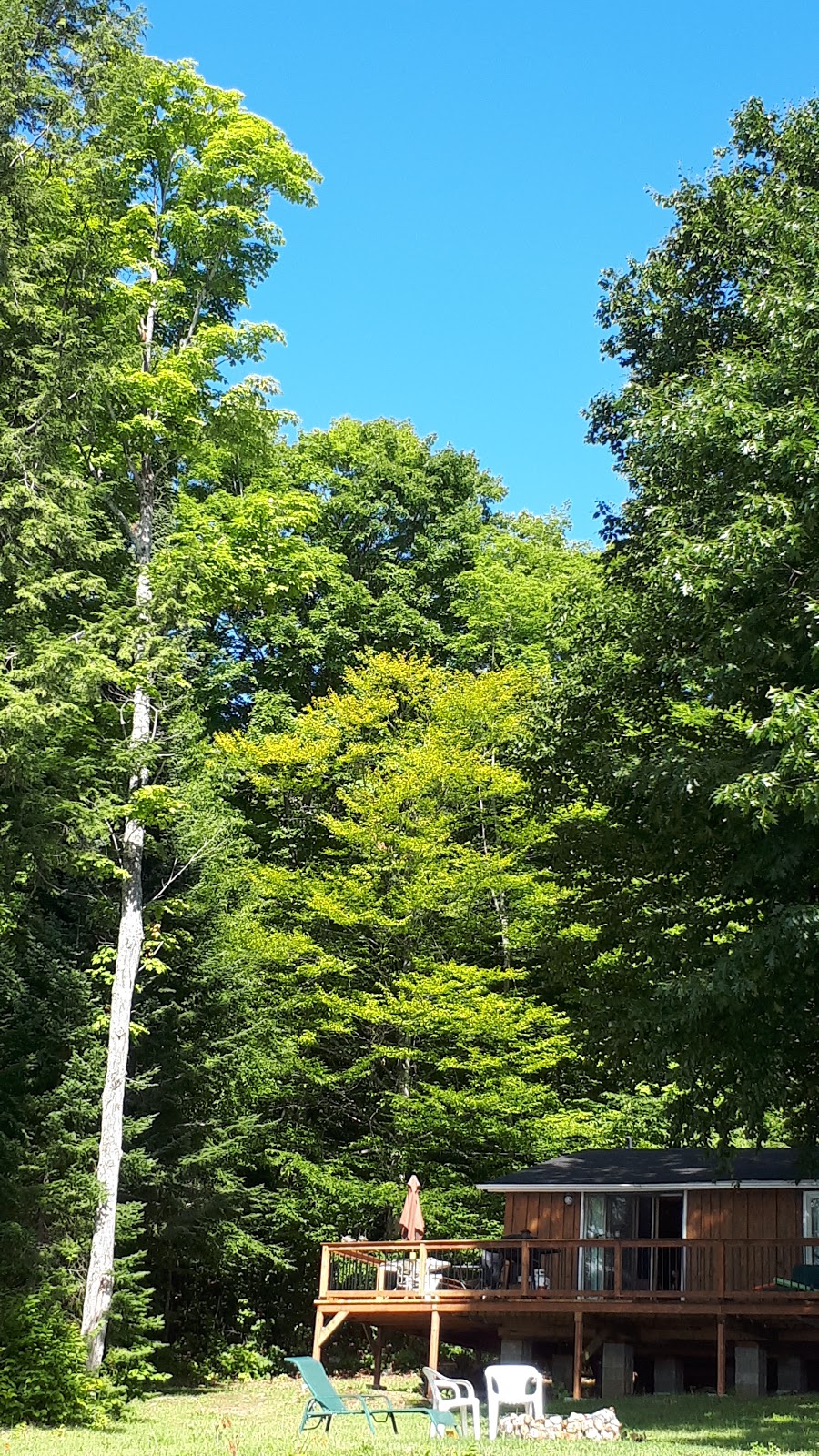 Camping Tarmigan | 907 2M0, CH Du Lac Poisson Blanc, Notre-Dame-du-Laus, QC J0W, Canada | Phone: (819) 767-2559