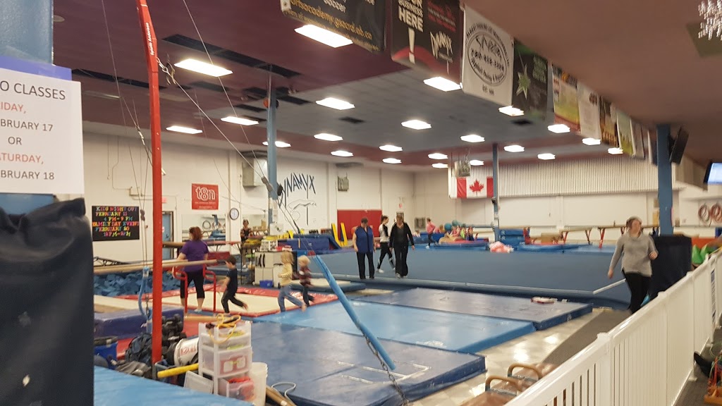 Dynamyx Gymnastics Club | 25 Chisholm Ave #104, St. Albert, AB T8N 5A5, Canada | Phone: (780) 458-3153