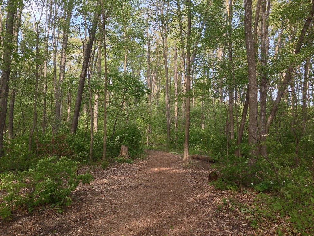 Sugarbush Park | Waterloo, ON N2L, Canada