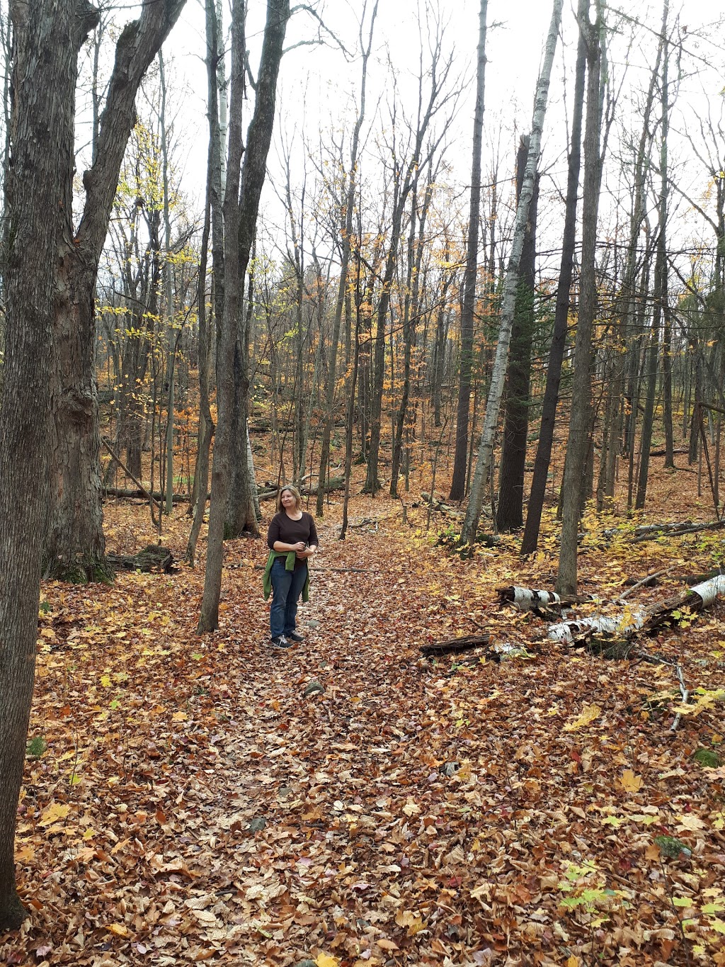 Klondike Road Park | 1365 Halton Terrace, Kanata, ON K2K 3B5, Canada