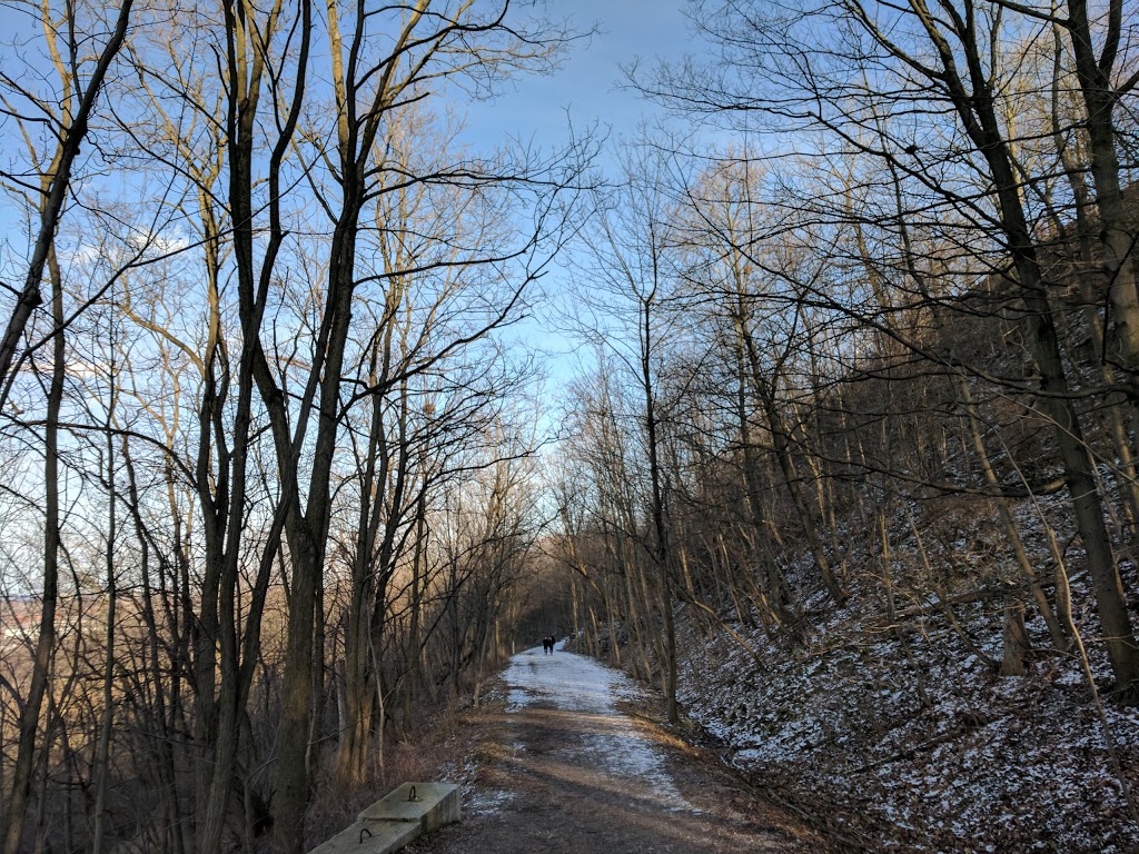 Mountview Waterfall | 985 Scenic Dr, Hamilton, ON L9C 1H7, Canada
