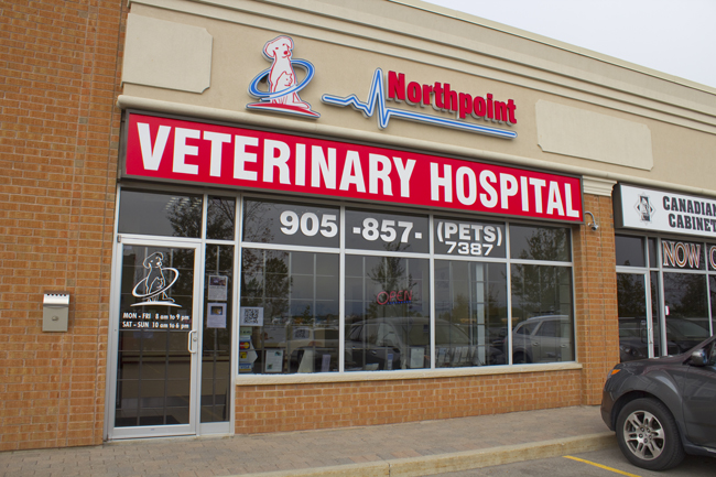 Northpoint Veterinary Hospital | doctor | 12599 Hwy 50 #4, Bolton, ON L7E 1M4, Canada | 9058577387 OR +1 905-857-7387