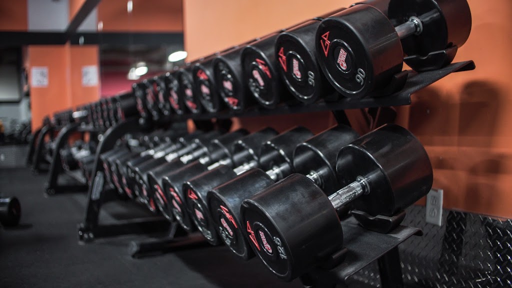 World Gym St-Jérôme | 500 Bd des Laurentides, Saint-Jérôme, QC J7Z 7M8, Canada | Phone: (450) 432-2700