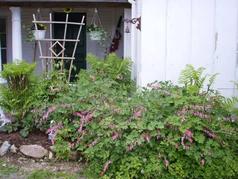 Peck Colonial Bed & Breakfast | 5566 NB-114, Hopewell Hill, NB E4H 3N5, Canada | Phone: (506) 882-2114