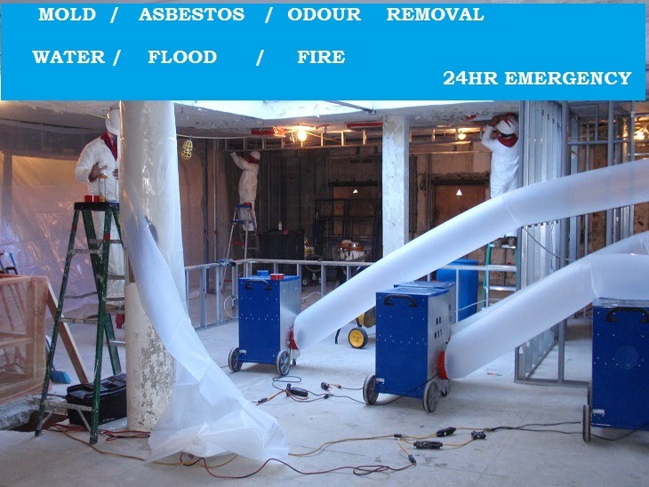 Extreme Conditions | 90 Judge Rd, Etobicoke, ON M8Z 5B4, Canada | Phone: (800) 435-7914