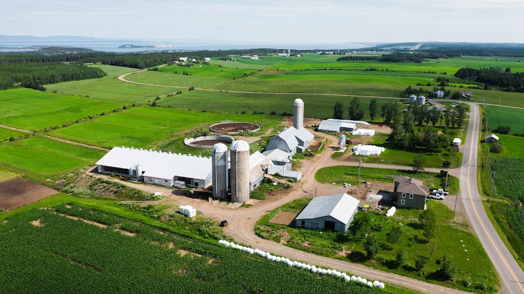 La Brumeuse | 219 2e Rang E, Saint-André-de-Kamouraska, QC G0L 2H0, Canada | Phone: (581) 214-3008