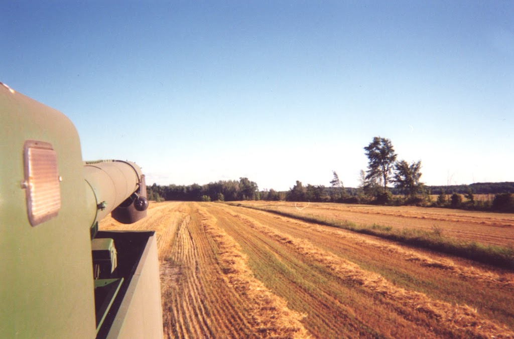 Ferme Robinson | 708 Chem. de la Rivière S, Saint-Eustache, QC J7R 0E2, Canada | Phone: (514) 473-5373