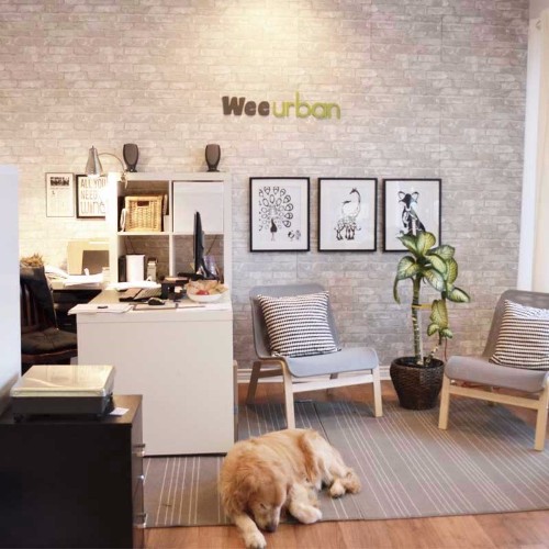 Wee Urban | 224 Norseman St unit d, Etobicoke, ON M8Z 2R4, Canada | Phone: (416) 826-1842