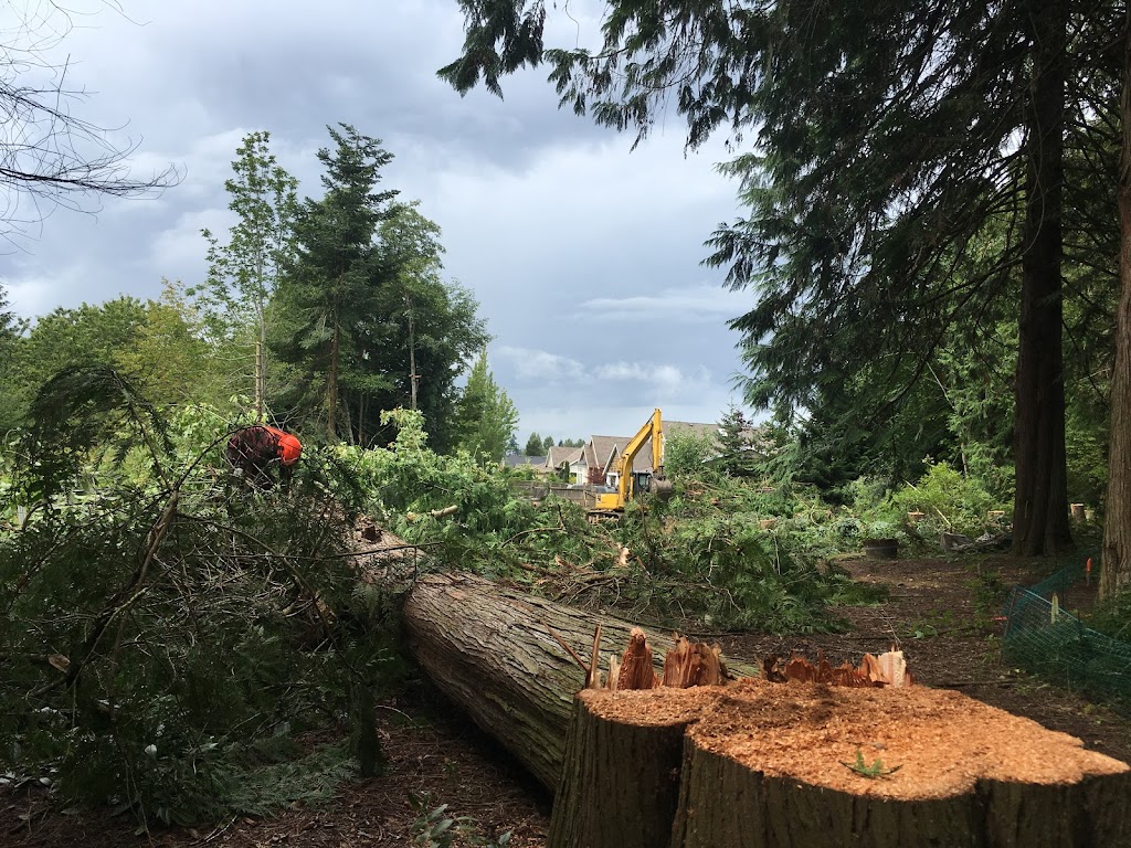 Treeco Tree Service | Coombs, BC V0R 1M0, Canada | Phone: (250) 228-8733