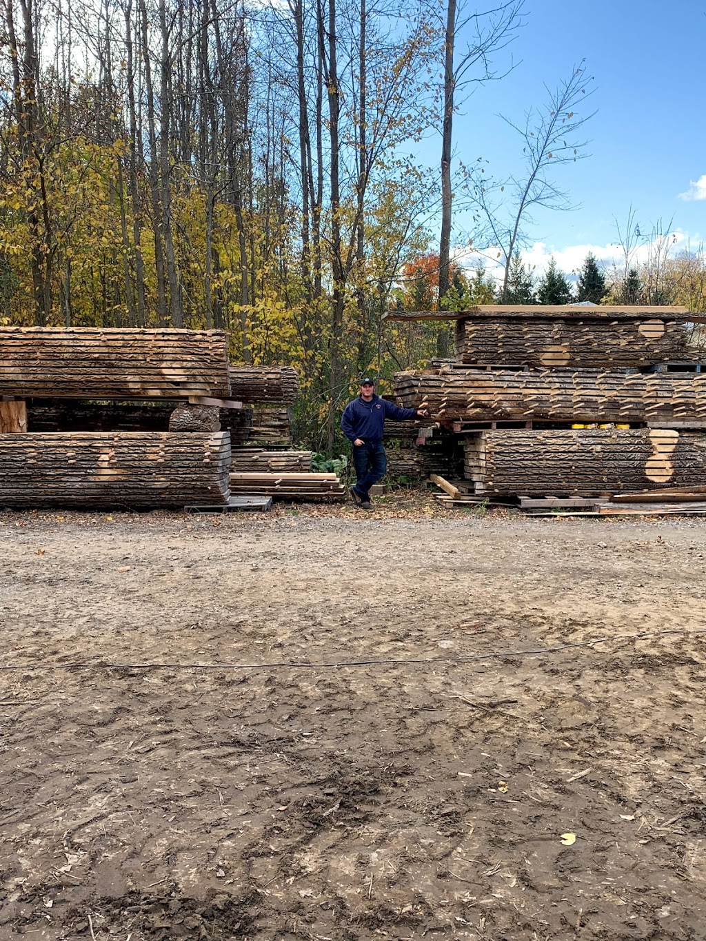 Scharf Contracting | 1672 River Rd, Kemptville, ON K0G 1J0, Canada | Phone: (613) 619-5054