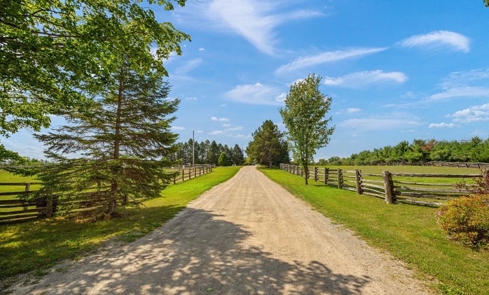 Stal Lewis | 674198 Hurontario St, Orangeville, ON L9W 2Y8, Canada | Phone: (877) 842-0999