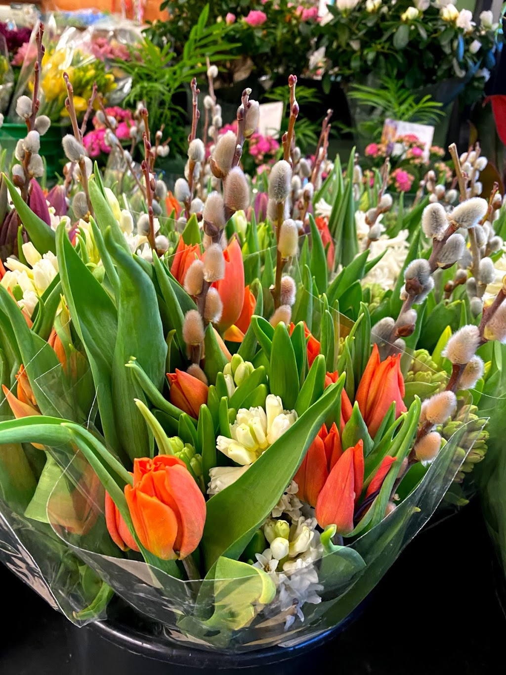 Kingston Road Flower Market | 966 Kingston Rd, Toronto, ON M4E 1S7, Canada | Phone: (416) 694-9131