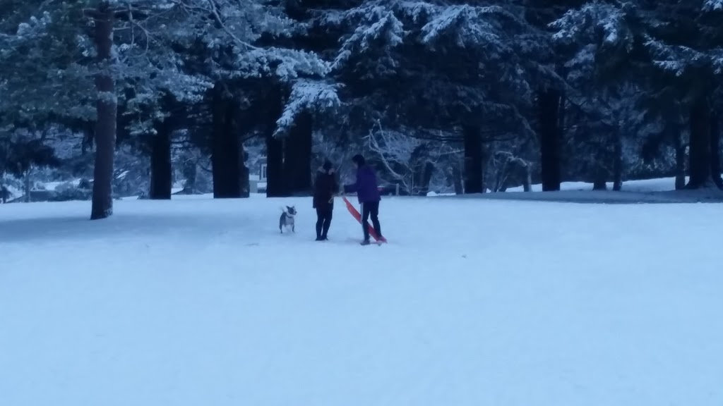 Dog Park | 33097 14 Ave, Mission, BC V2V 2P4, Canada