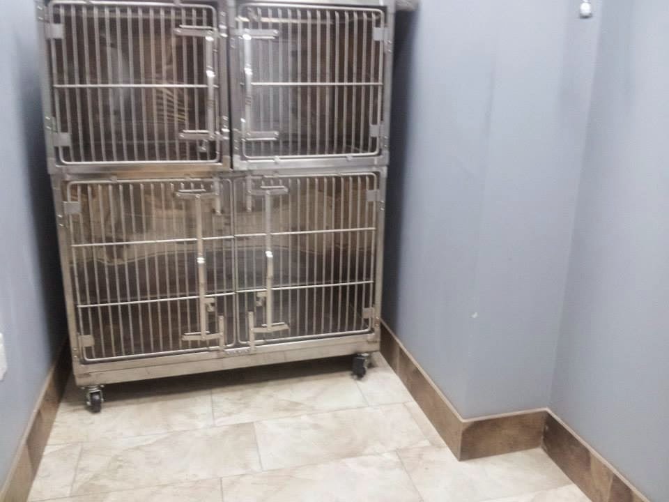 Parkways Animal Hospital | 325 Central Pkwy W, Mississauga, ON L5B 3X9, Canada | Phone: (905) 276-5558