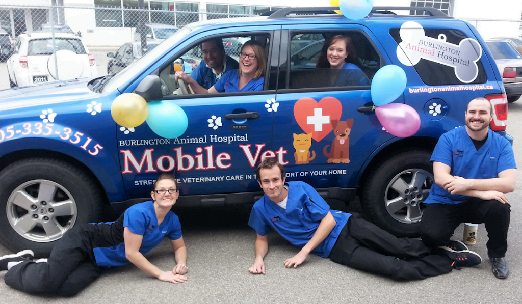 VCA Canada Burlington Animal Hospital | 1231 Guelph Line, Burlington, ON L7P 2T1, Canada | Phone: (905) 335-3515