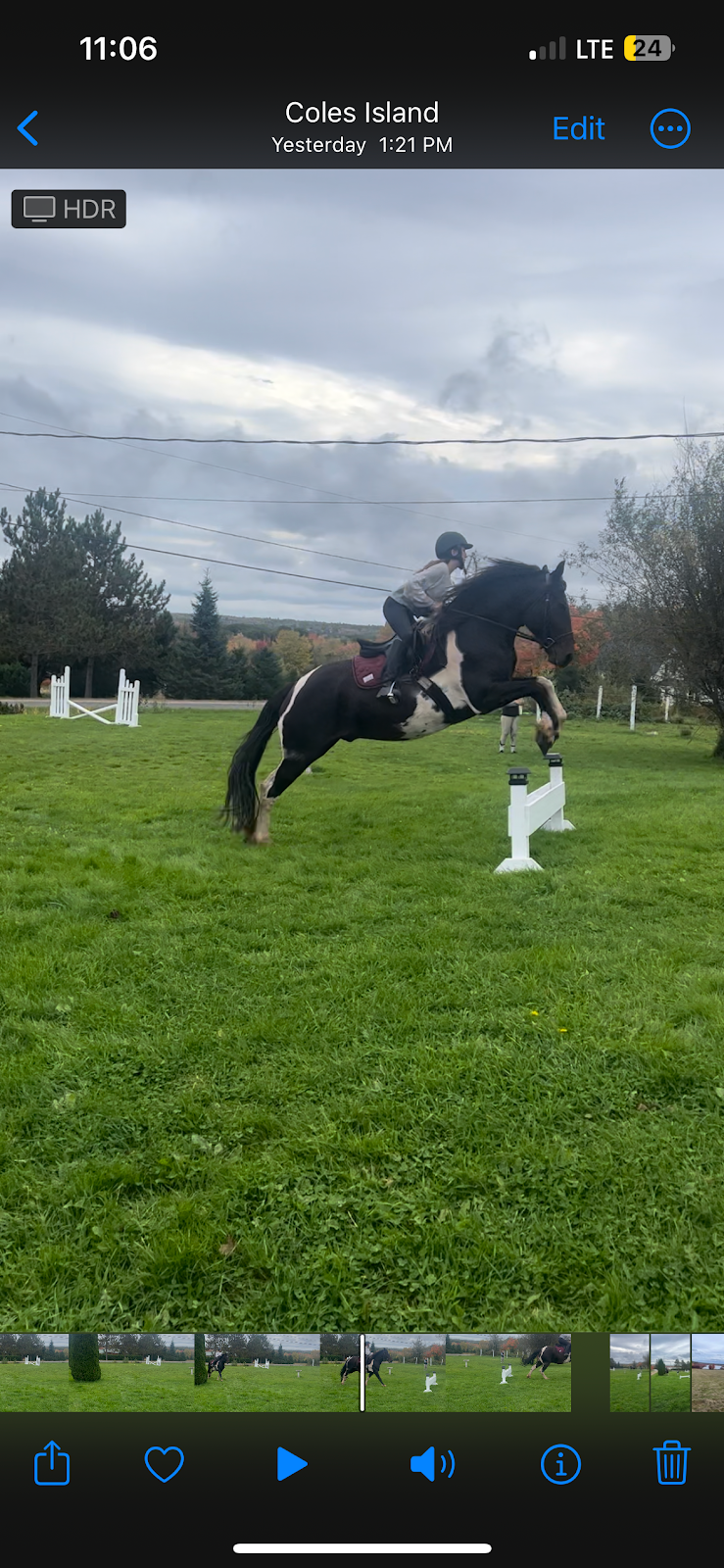 CorLie Equine Adventures and Events | 250 Route 715, Coles Island, NB E4C 2T4, Canada | Phone: (506) 512-1216
