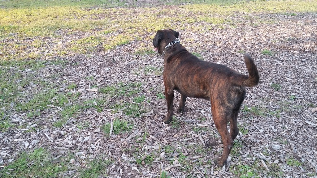 Carol Disher Leash Free Dog Park | 69 Catherine St, St. Catharines, ON L2R 7R5, Canada | Phone: (905) 688-5600