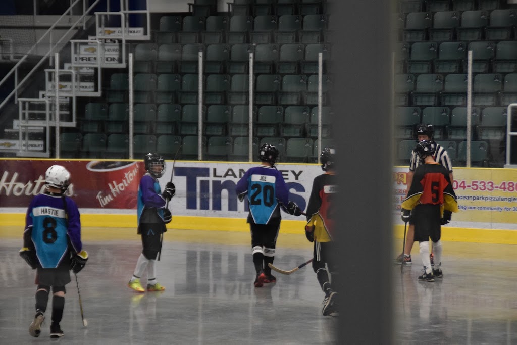 George Preston Recreation Centre | 20699 42 Ave, Langley, BC V3A 3B1, Canada | Phone: (604) 530-1323