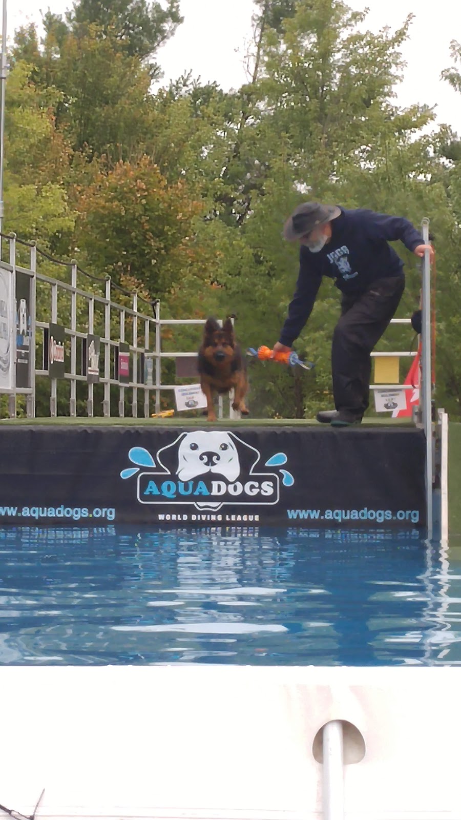 Royackers Kennels | 7190 Side Rd 12, Ariss, ON N0B 1B0, Canada | Phone: (519) 822-6889