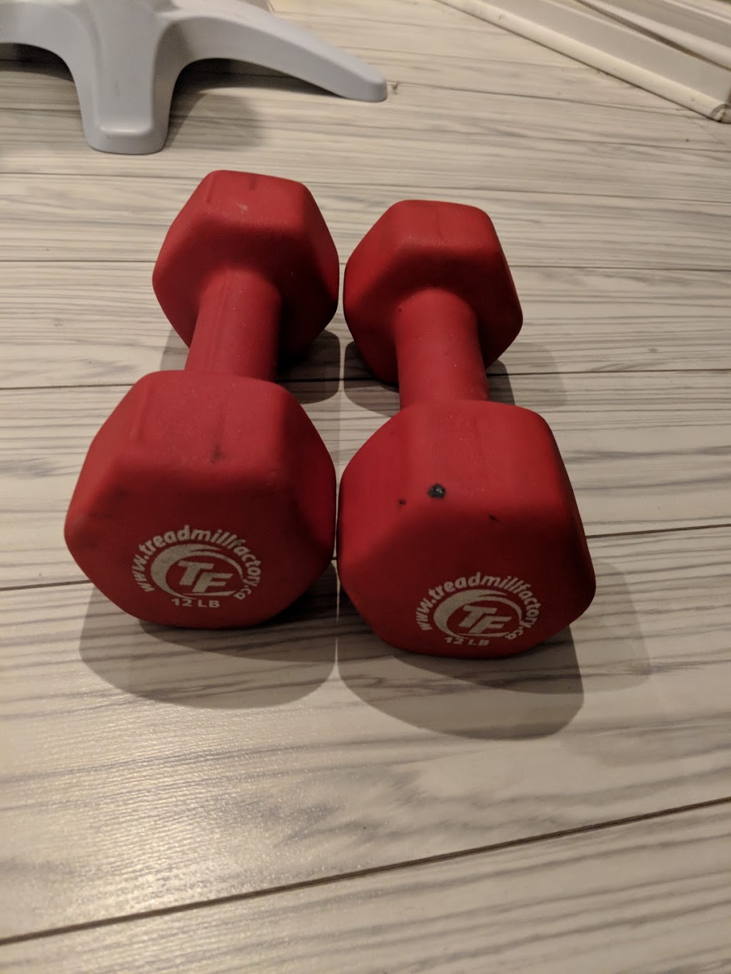 Carpe Diem Fitness & Wellness | 4060 Ridgeway Dr unit 3, Mississauga, ON L5L 5X9, Canada | Phone: (905) 820-7746