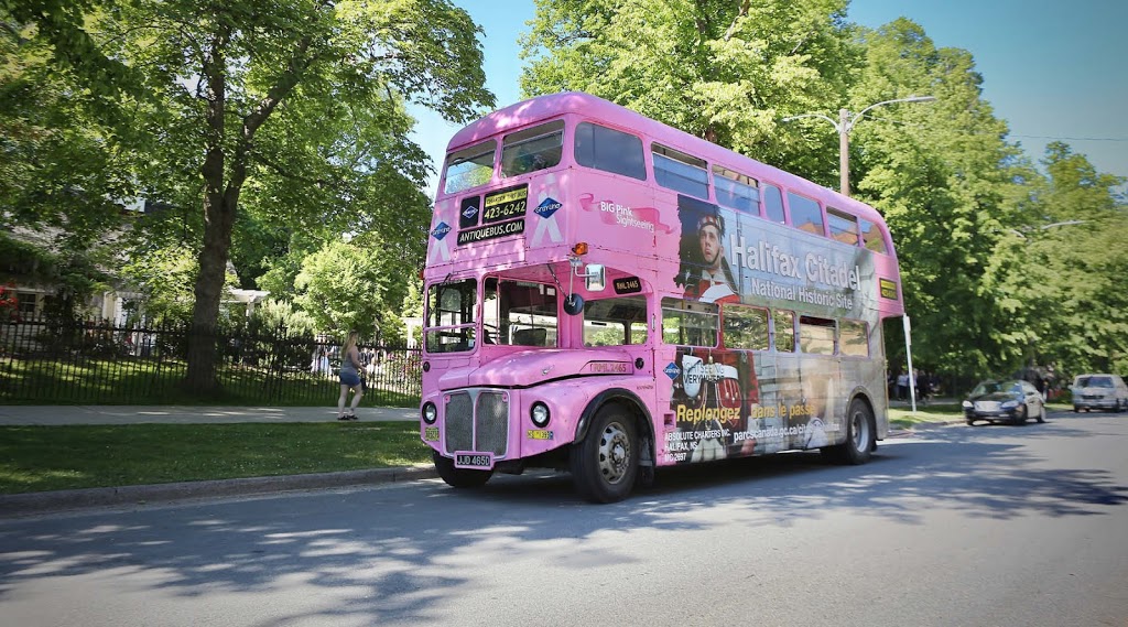Hop On Hop Off City Tour | 6575 Bayne St, Halifax, NS B3K 0H1, Canada | Phone: (902) 420-1015