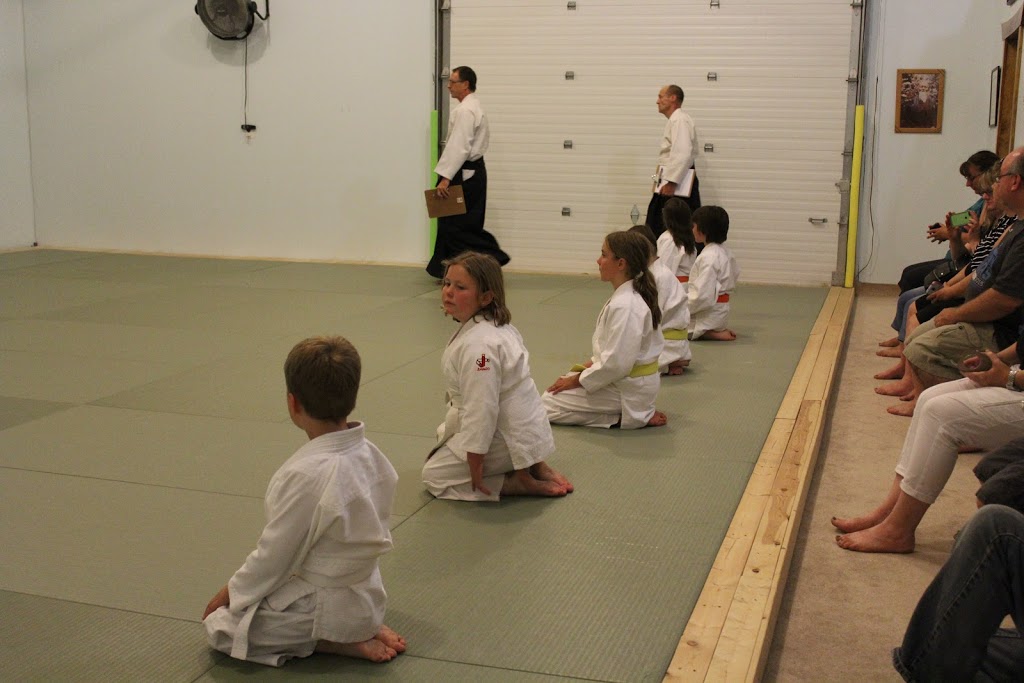 Peaceful Warrior Dojo | 400 W Front St, Stirling, ON K0K 3E0, Canada | Phone: (613) 243-5683