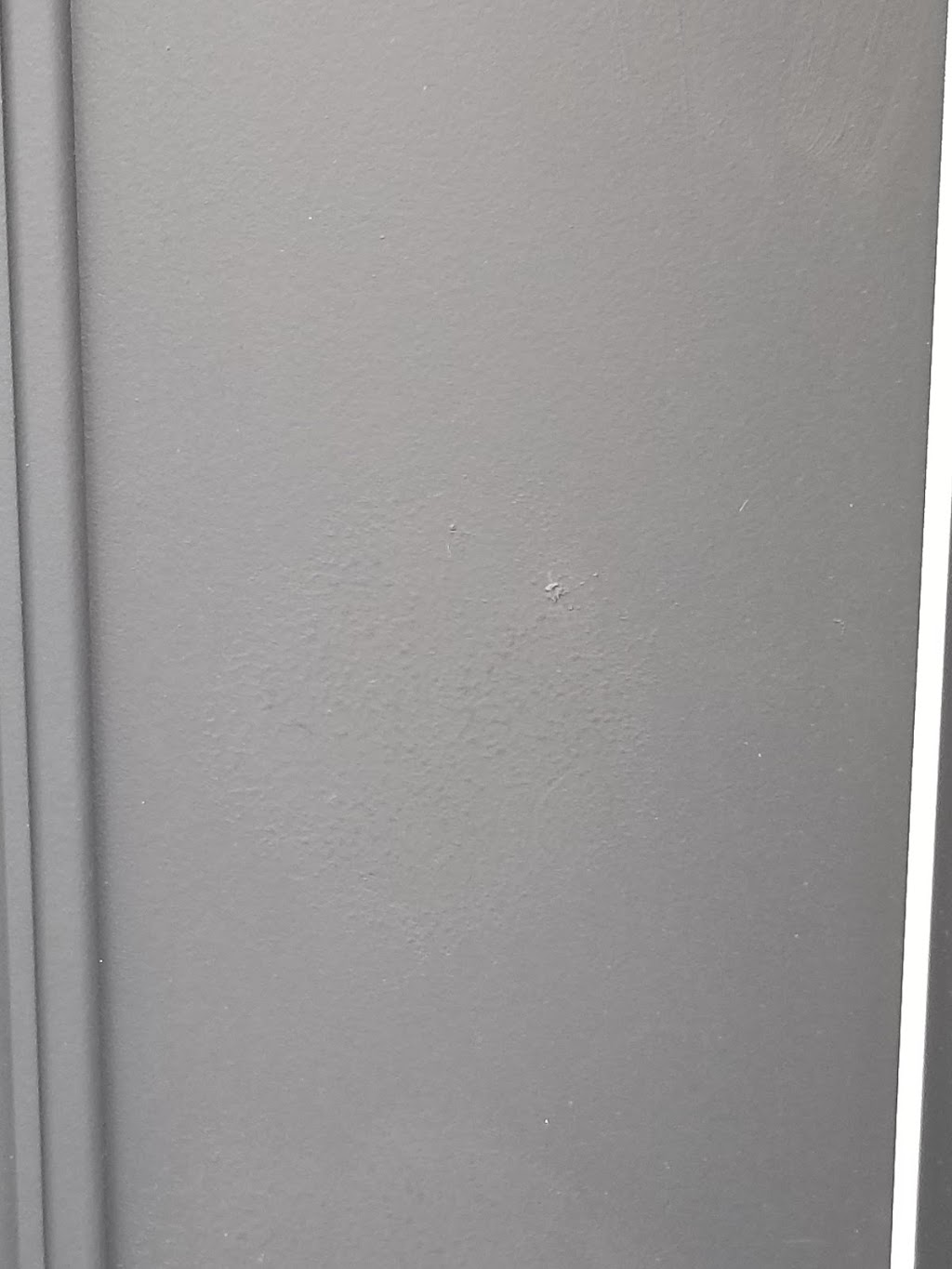 Peinture sur revêtement extérieur Renovec | 2152 Rue de la Métropole, Longueuil, QC J4G 1R5, Canada | Phone: (450) 652-9787