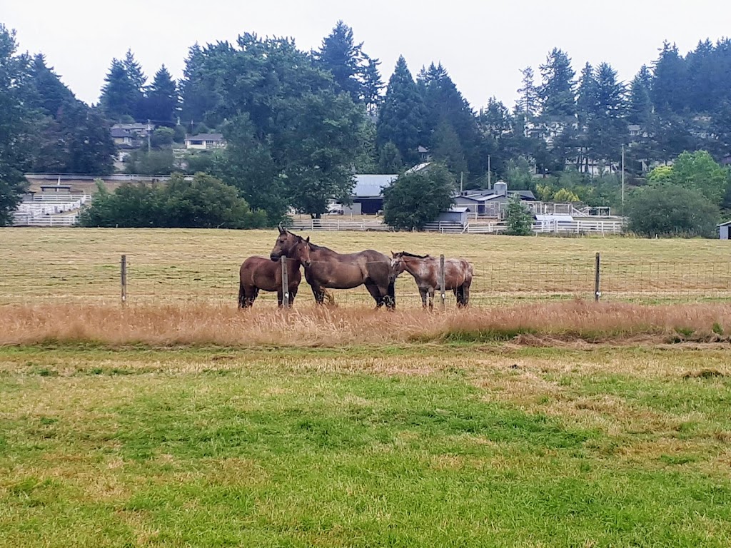 Braes Mhor Equestrian | 6476 Oldfield Rd, Victoria, BC V8M 1X8, Canada | Phone: (250) 881-2603