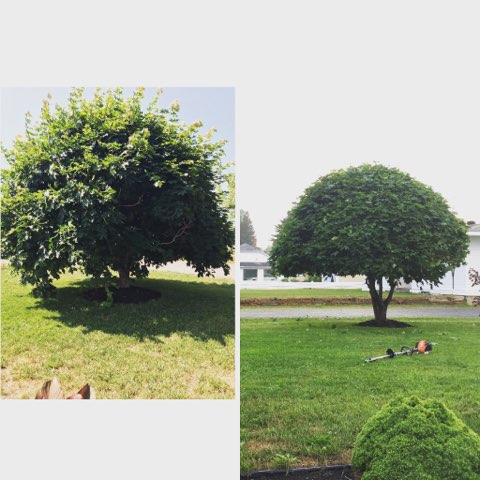 Ground Care Estate Management Inc. | 22 Rue Nugent Street, Dieppe, NB E1A 0S6, Canada | Phone: (506) 737-3541