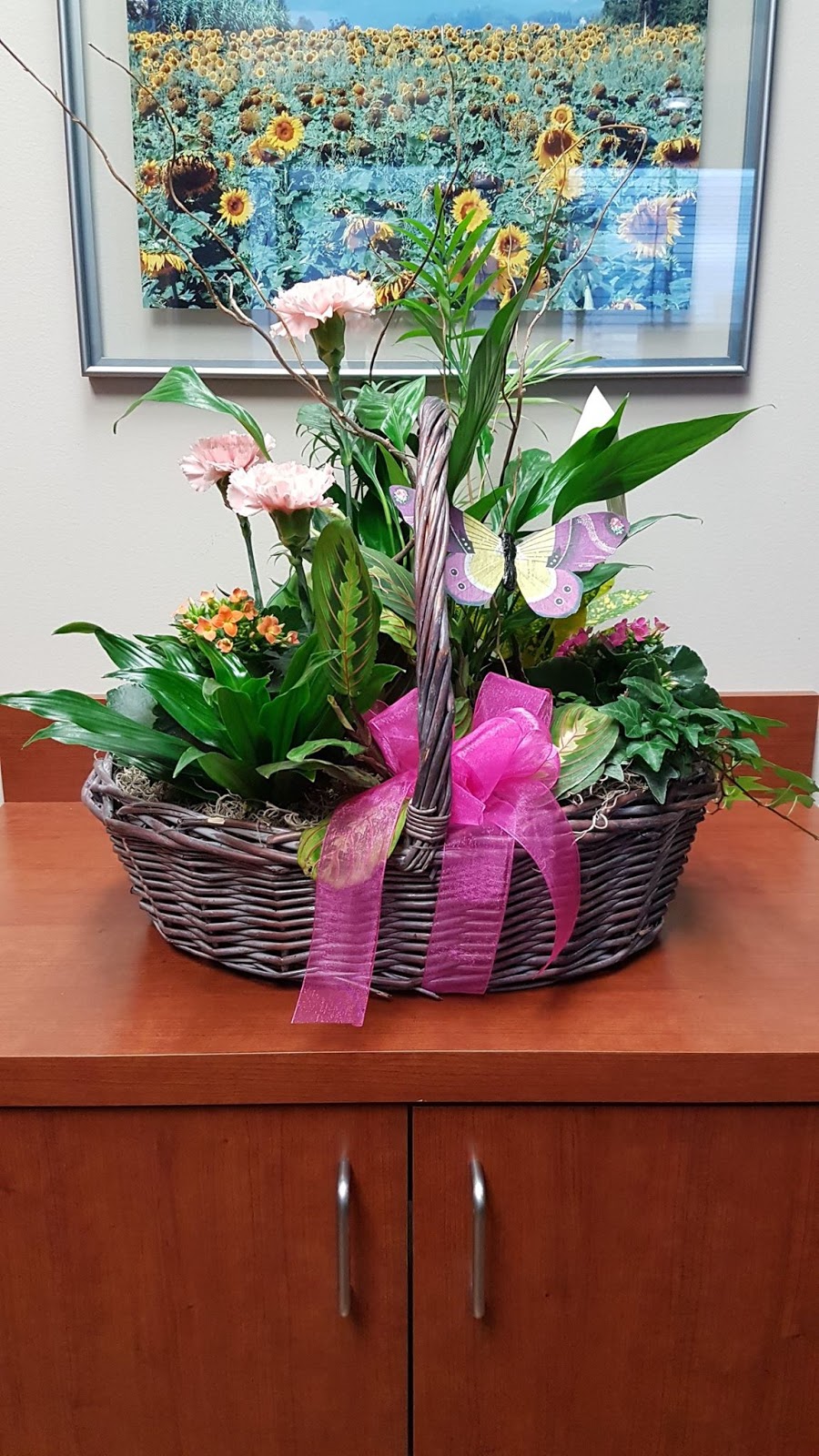 Warden Eglinton Dental Centre | 1921 Eglinton Ave E Unit 8E, Scarborough, ON M1L 2L6, Canada | Phone: (416) 751-4290